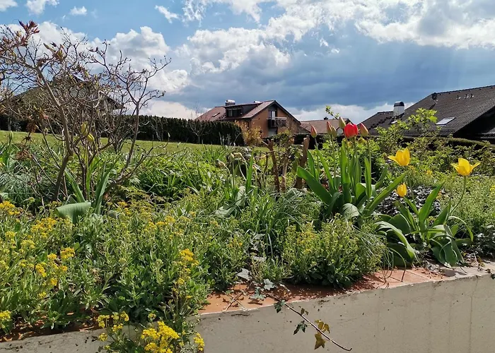 Am Sonnenberg * Hammelbach